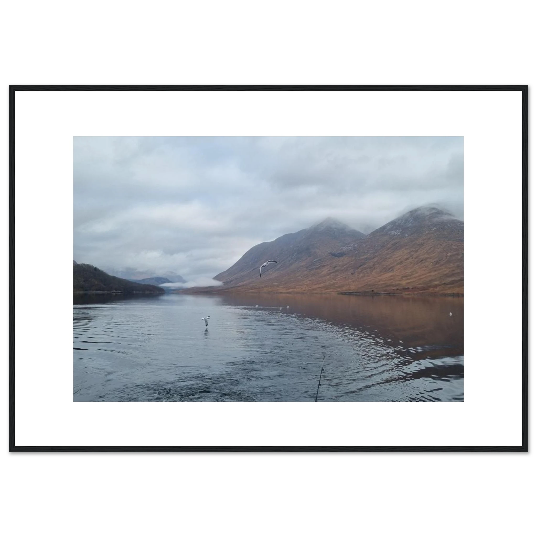 e80f8a41-3e7f-4aae-9dc9-6d91e117f3c2