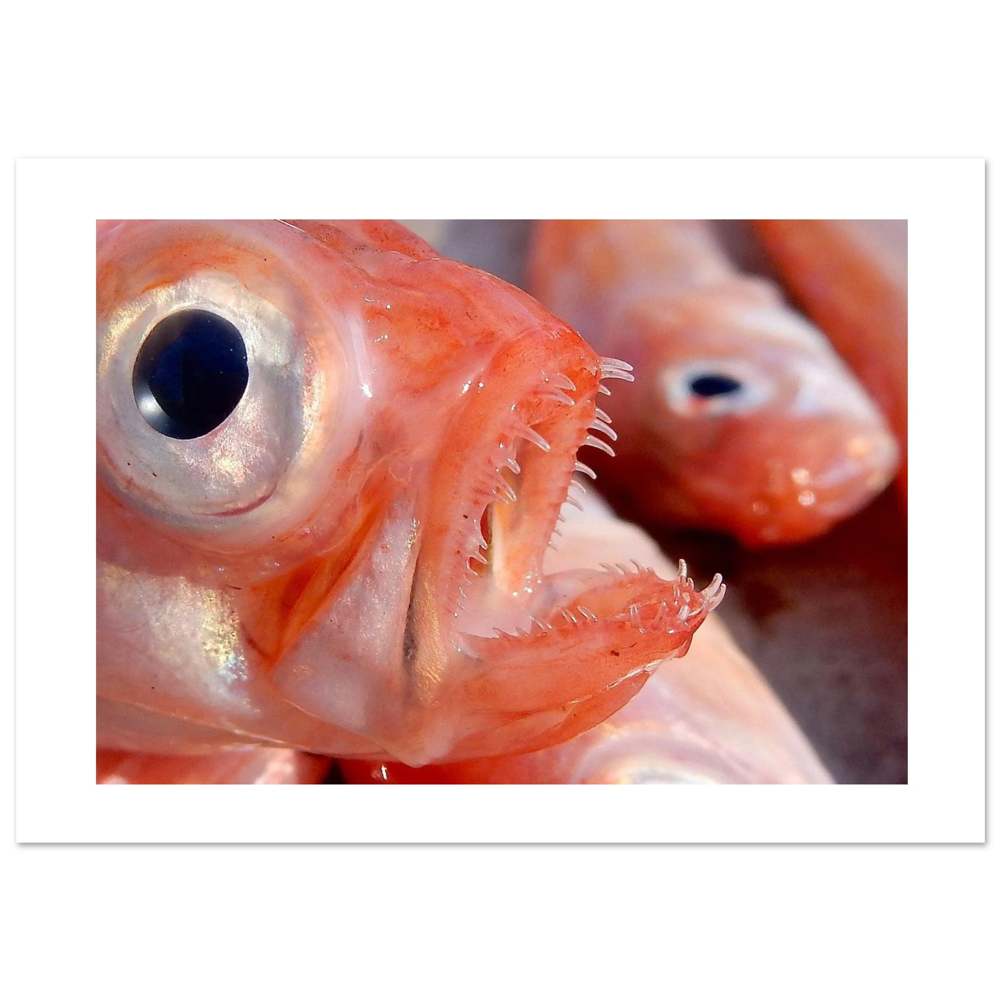 e886b7a6-d172-48d8-a531-9bc974e25fcf