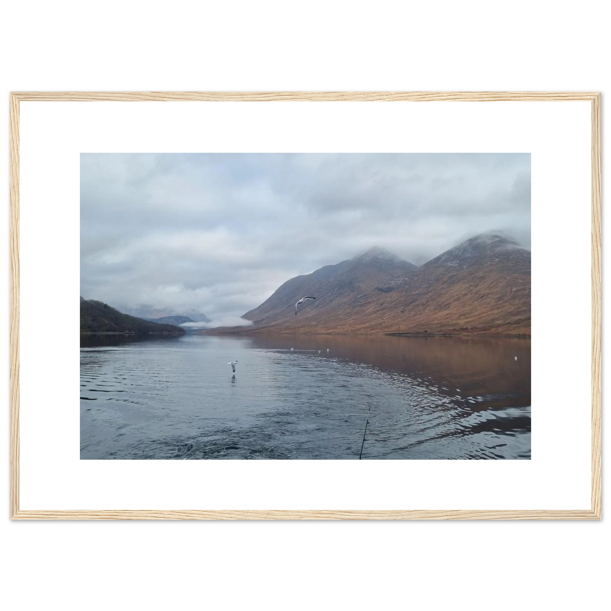 ed24c349-cadd-4b53-ab34-01e2adb6af32