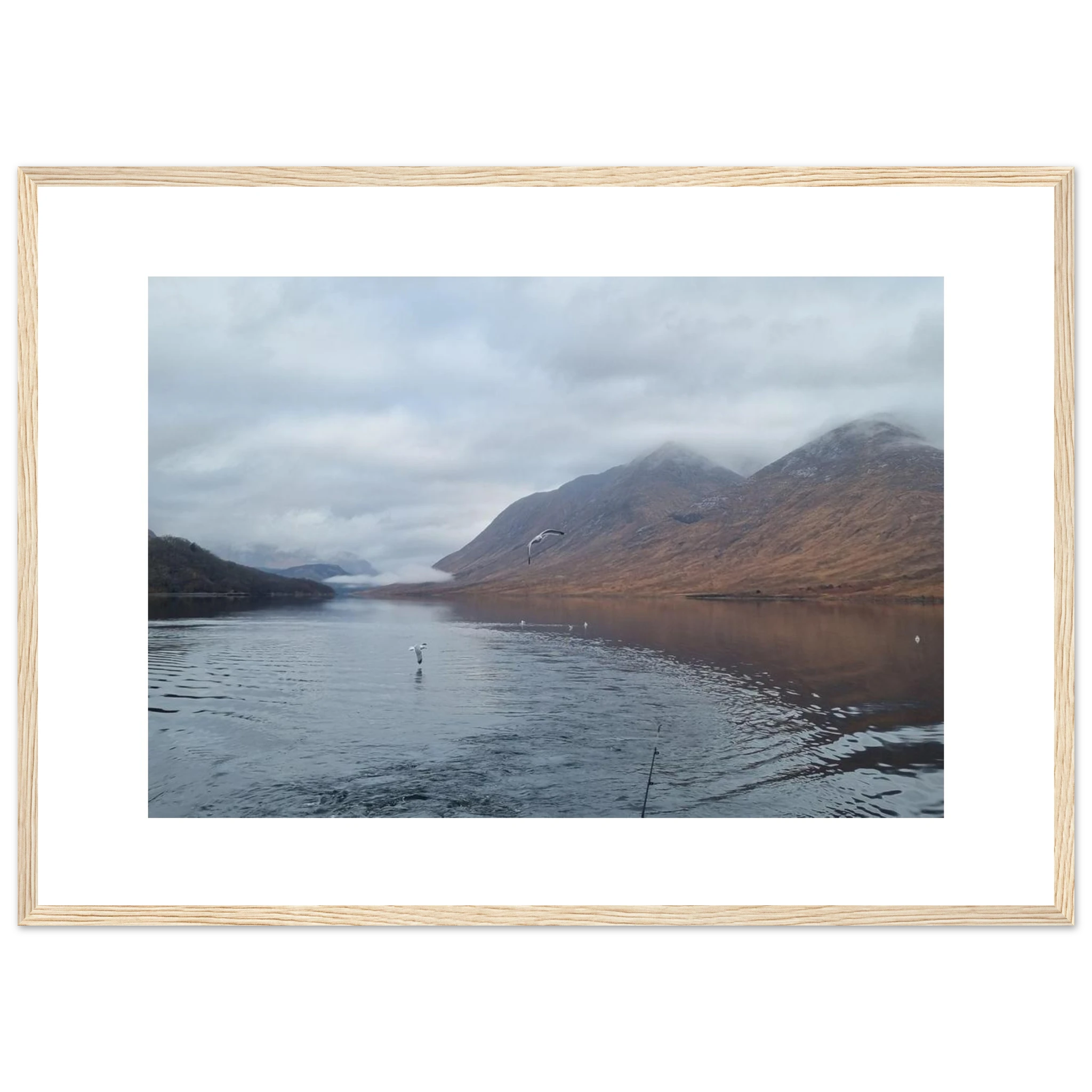 ed643fd1-4a35-4526-86d4-12278a140242