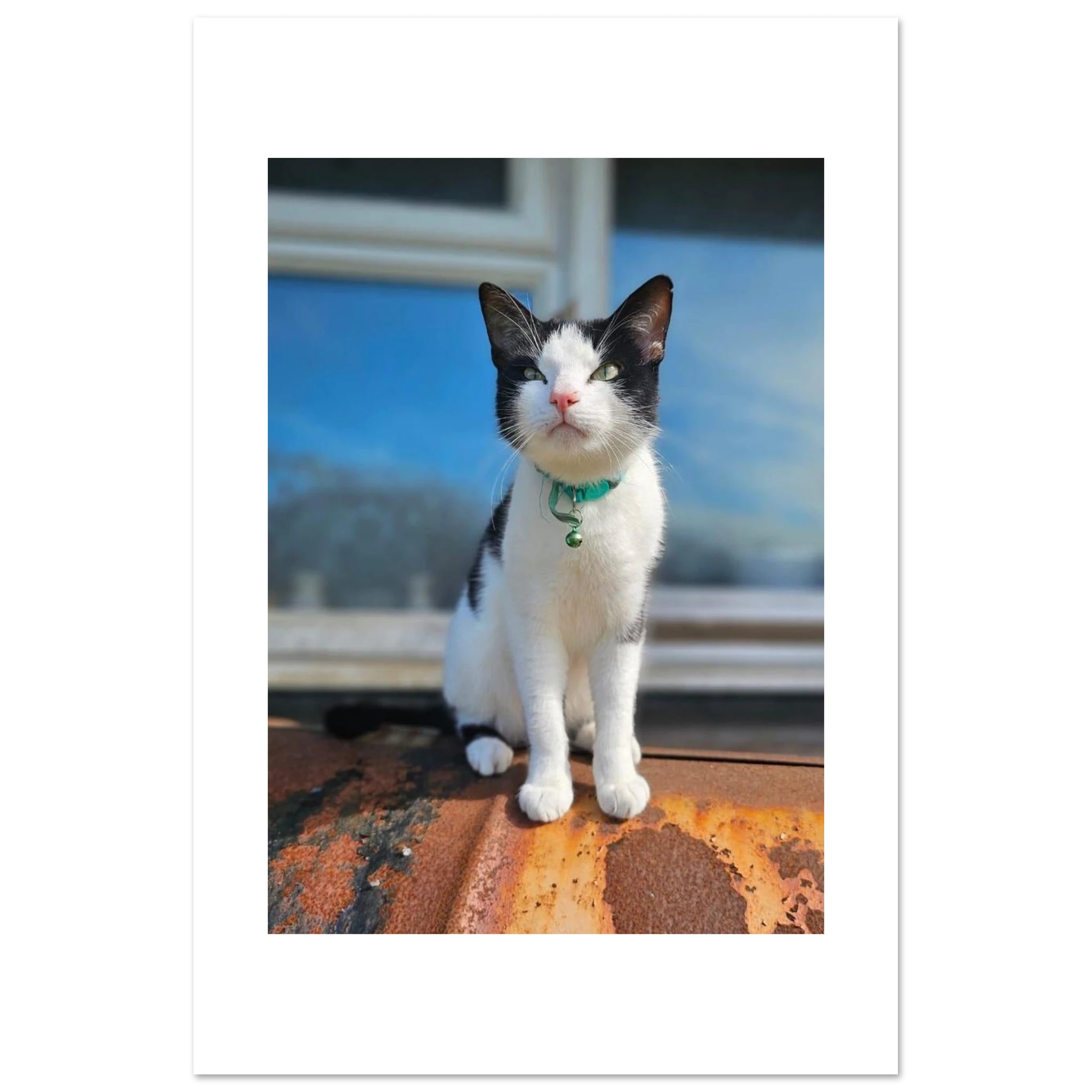 ed88dbf8-b37f-43ba-a417-7c56285166e1