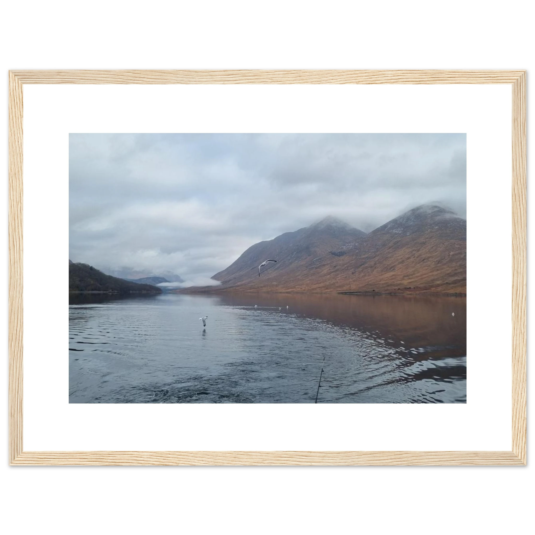 ee122224-87a2-483d-b546-31d1d25e1b5a