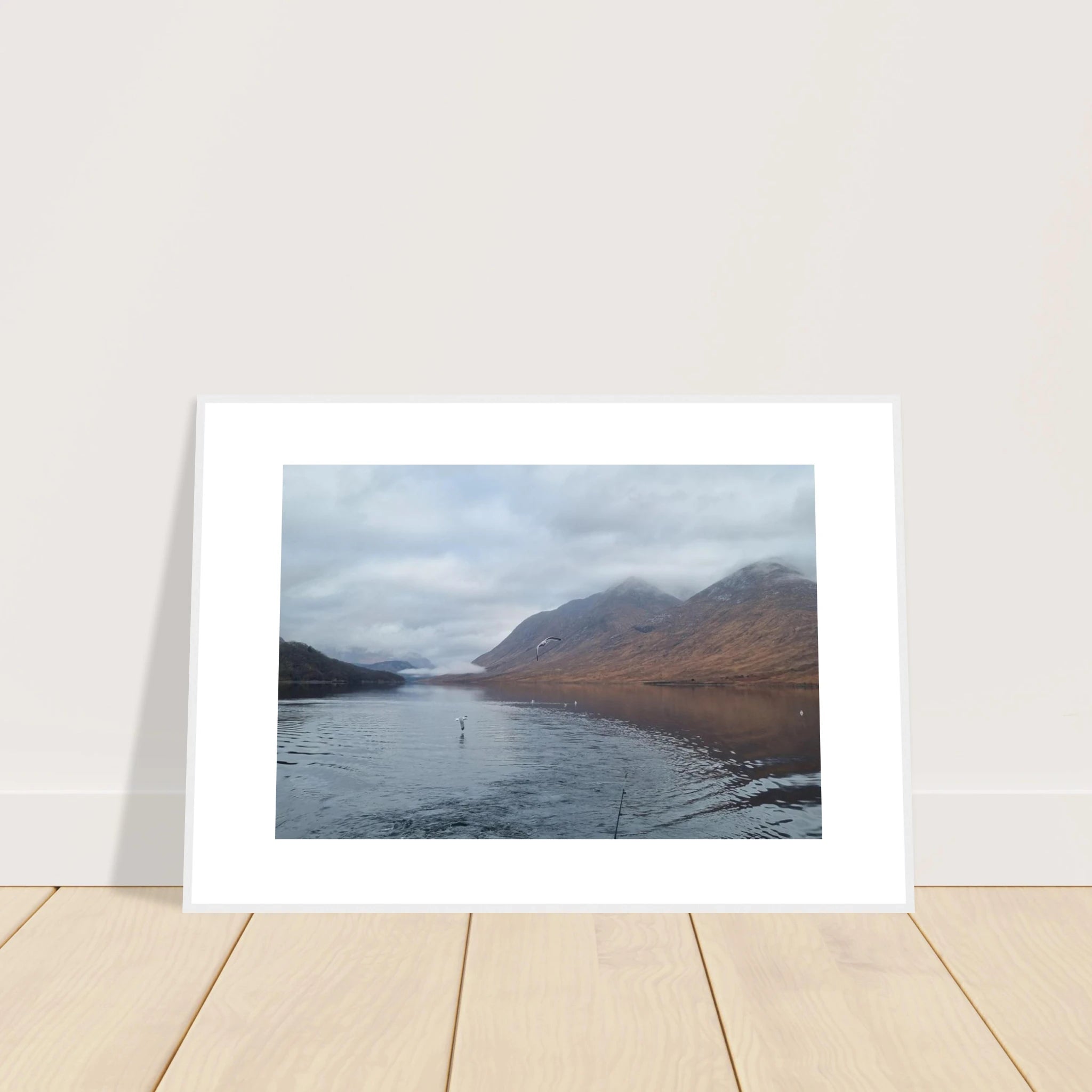 f01dbc44-a73a-4917-84a5-f1d83d5a7367