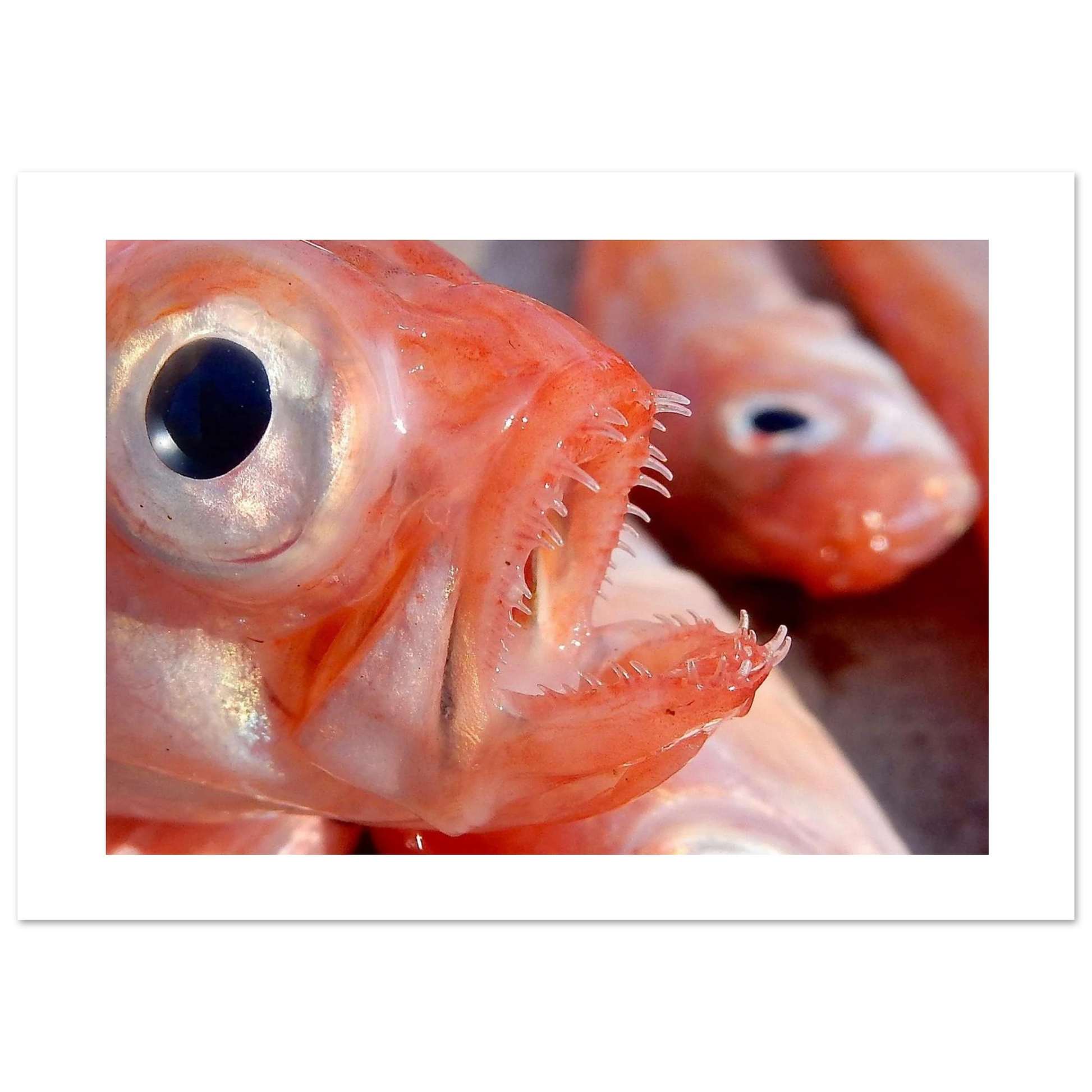 f3723656-0b51-4cc8-b9dd-01cb5ba6397f