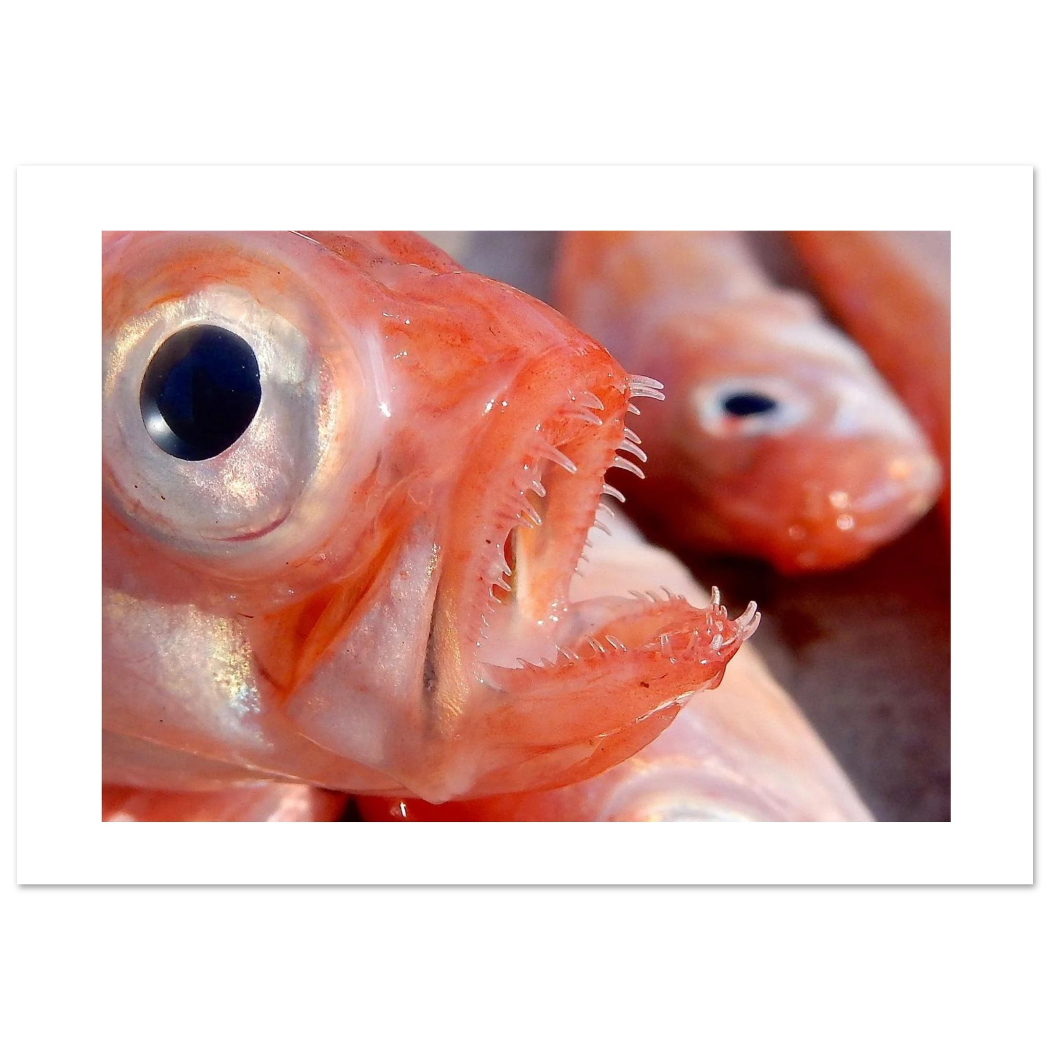 f3723656-0b51-4cc8-b9dd-01cb5ba6397f