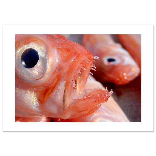 f3723656-0b51-4cc8-b9dd-01cb5ba6397f