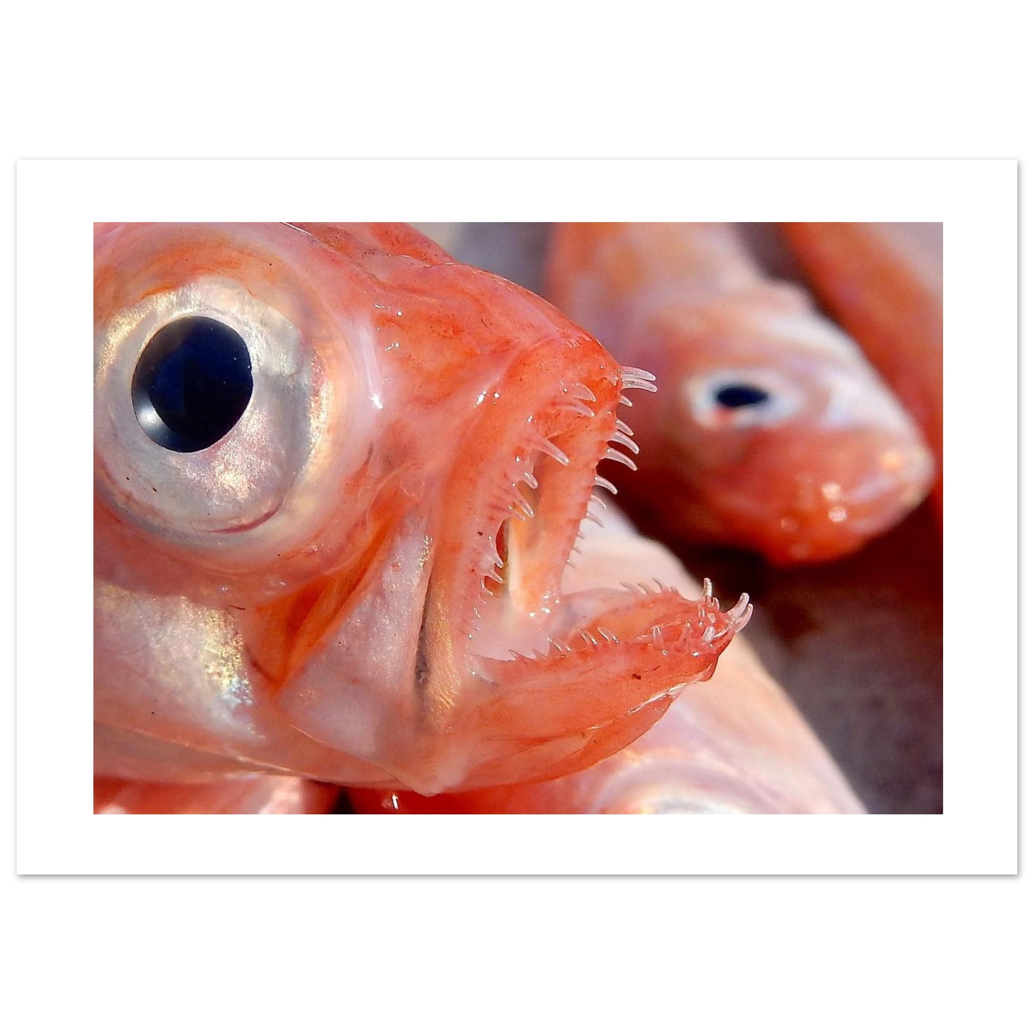 f3fee1c3-5cf8-43cc-9b4d-8156f868ec63