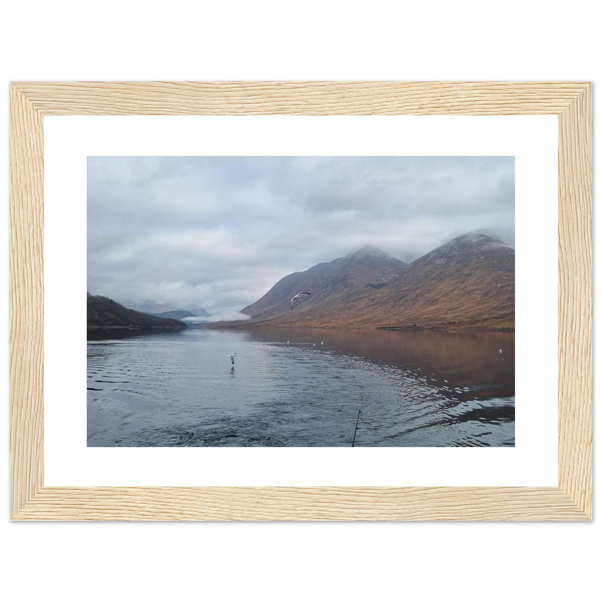 f4675de0-129e-4d2c-91fd-228ea459a622