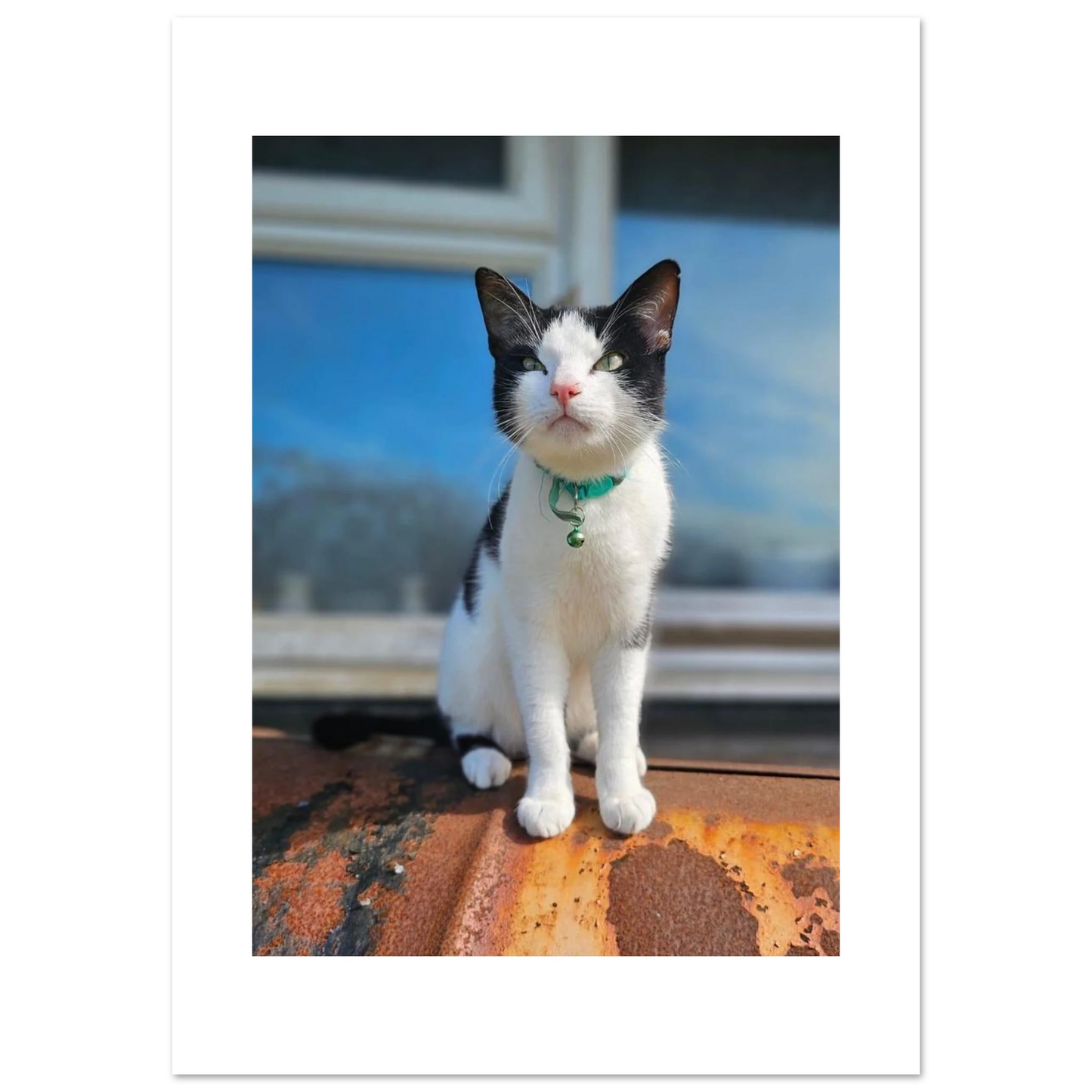 f522ed2a-813e-4642-9691-856f553ea5e8