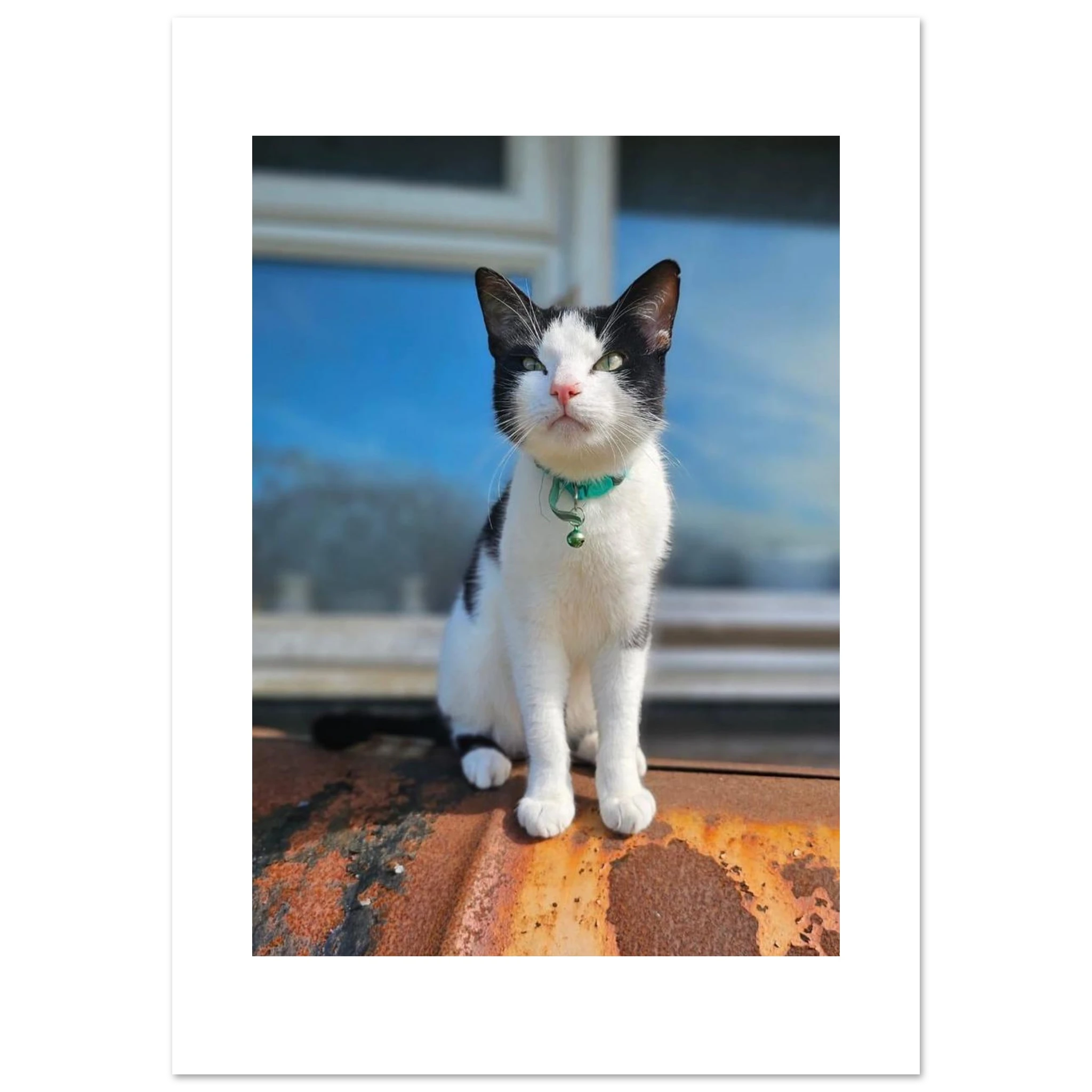 f522ed2a-813e-4642-9691-856f553ea5e8