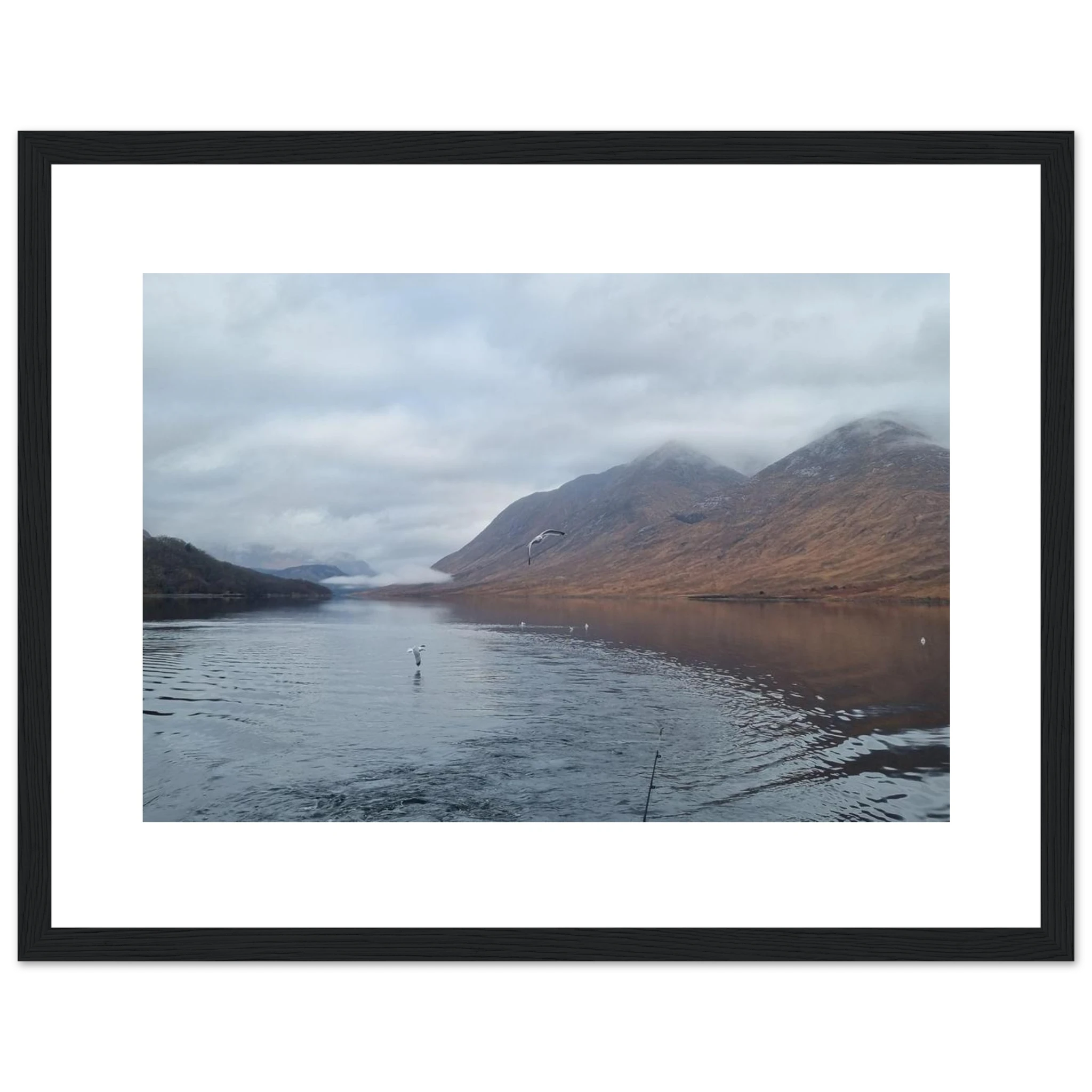 f6170887-9d22-4aa1-ada2-bcdc7f31650f