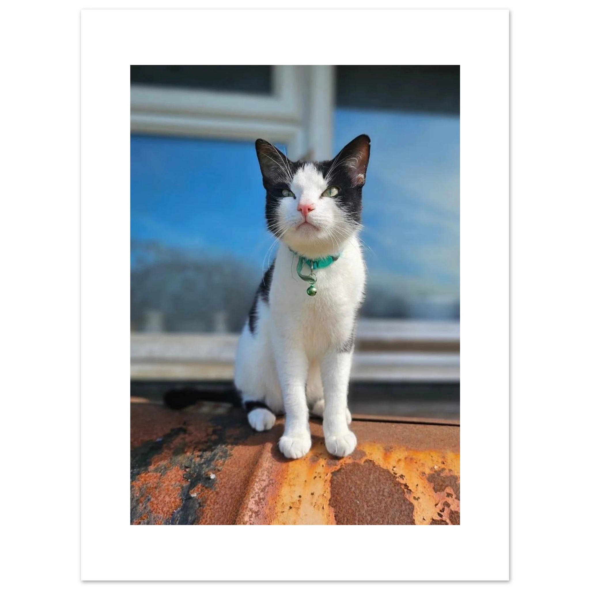 f7adff72-e57a-4f3e-8c4a-3f743aacccaa