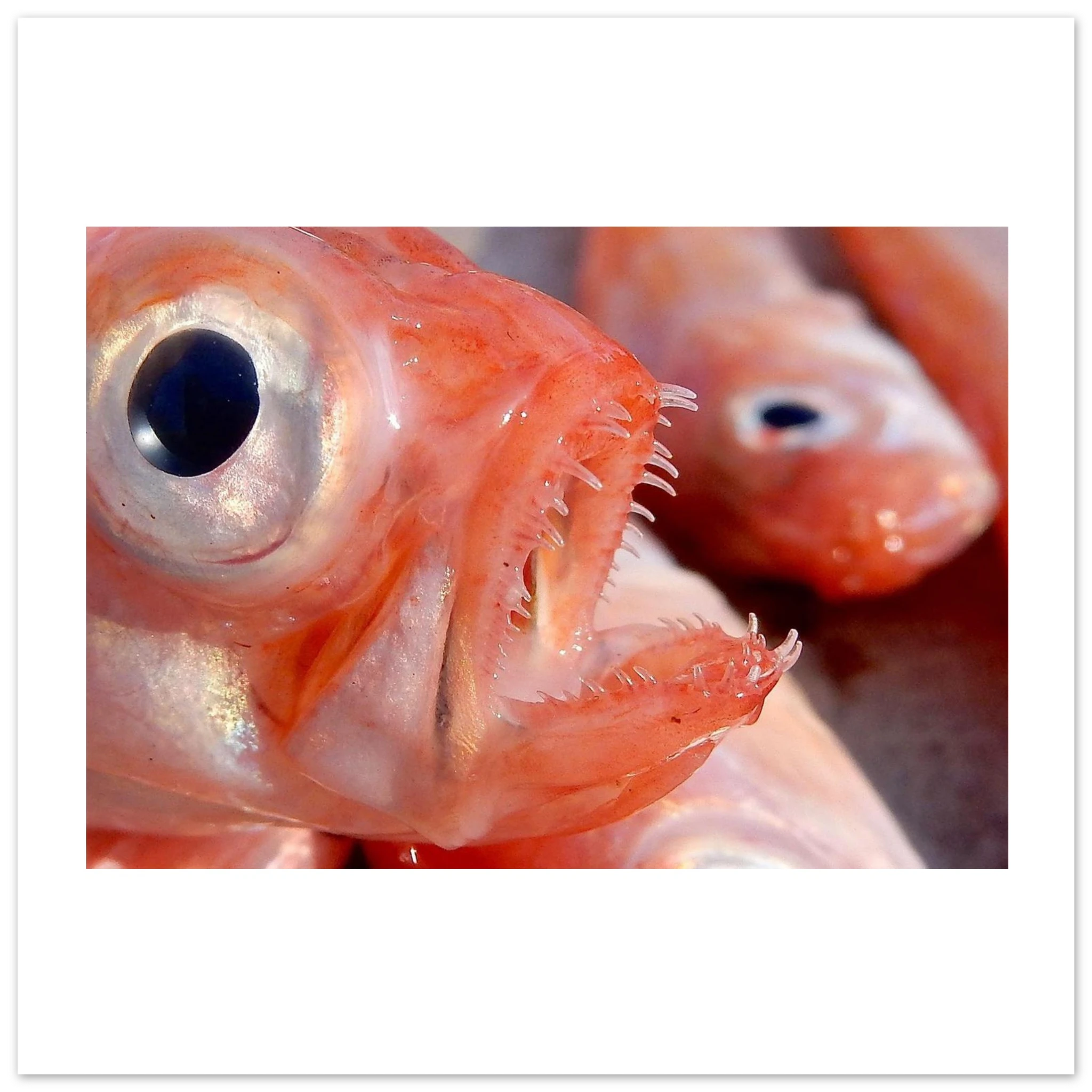 f9782d0a-ac0b-4e06-9fef-16396c821fd3