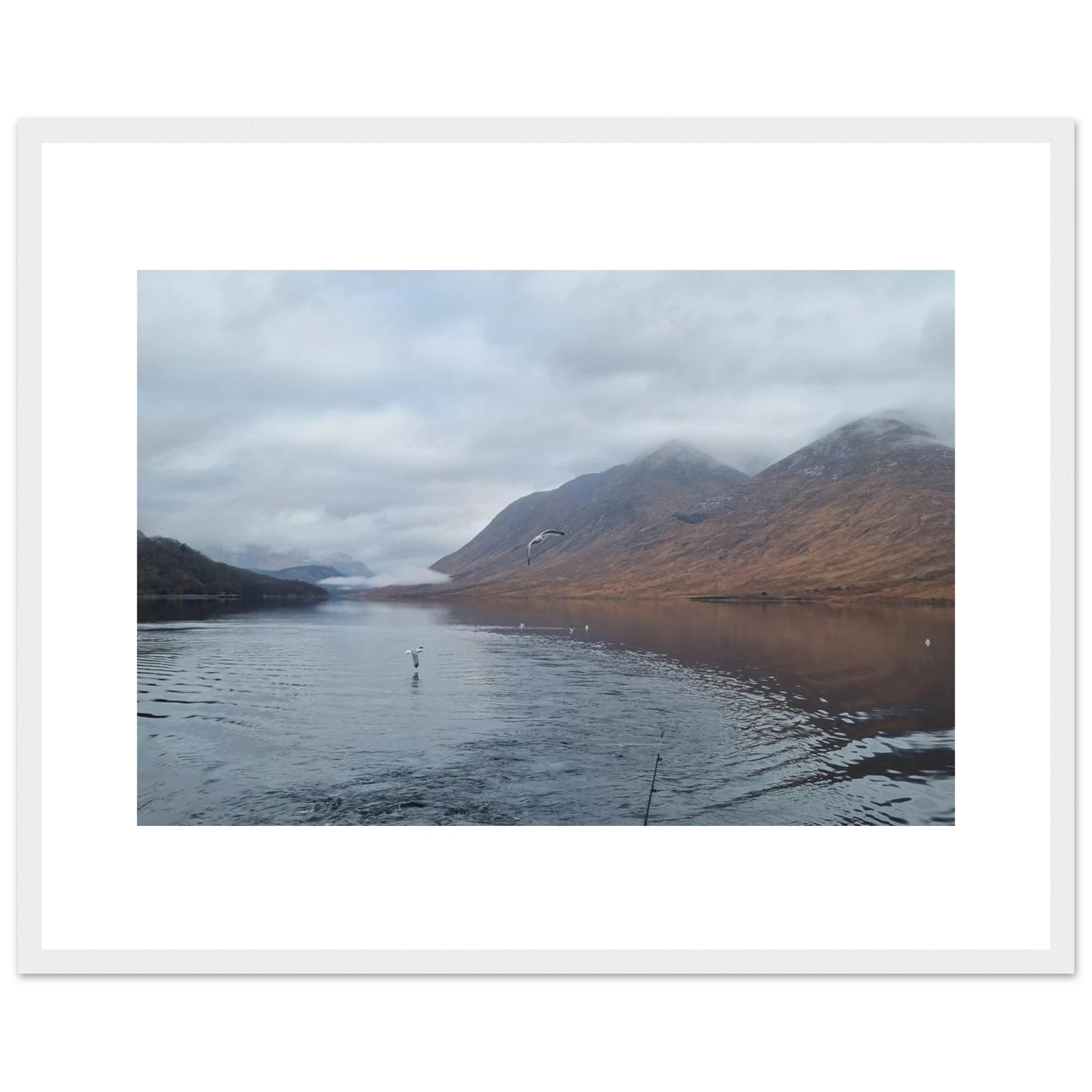 fd9dccb8-e0e9-43ac-bc27-bb189a4373c0